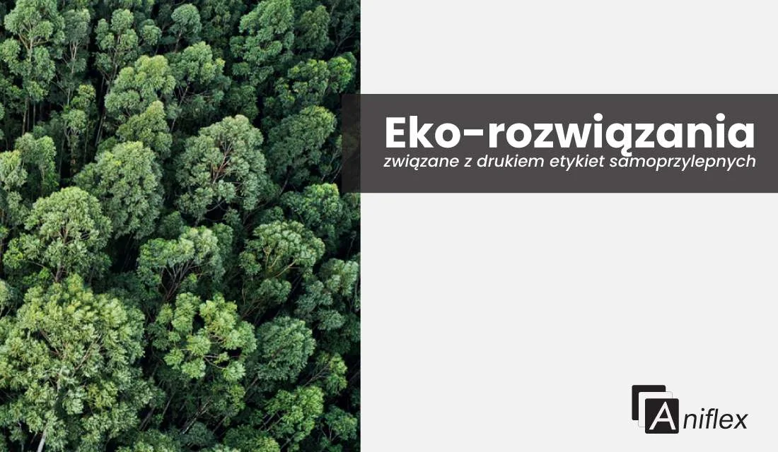 Webinar Eko-rozwiązania – podsumowanie